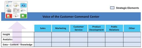 Voice of the customer